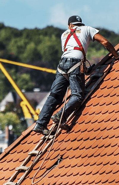 Roofnox